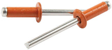 Load image into Gallery viewer, Sm Hd Rivet Orange Alum 250pk