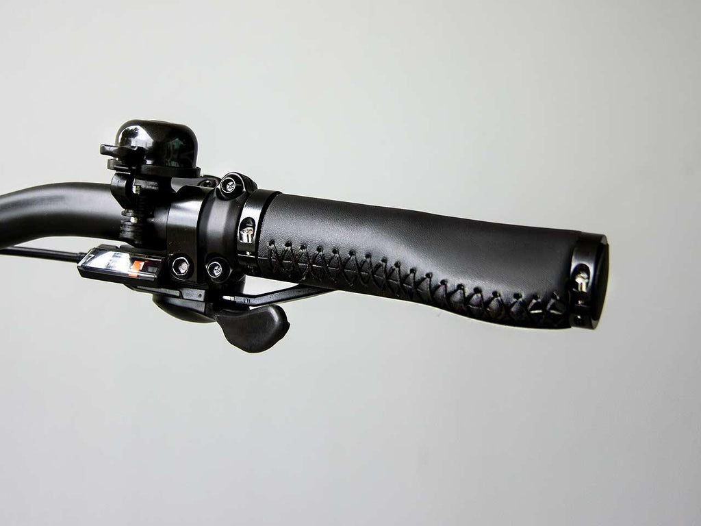 RideStar 750 E-Bike - Lee Motorsports