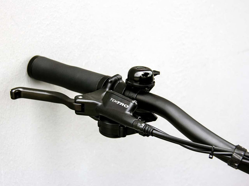 RideStar 750 E-Bike - Lee Motorsports