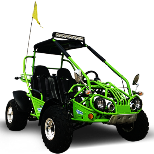TrailMaster 200 XRX Deluxe Buggy Go Kart, Alloy Wheels, Lights, Turn Signals