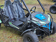 Trailmaster Cheetah 300E Off Road UTV/Go kart 18 HP Fuel Injected, Upgraded rear suspension - Lee Motorsports