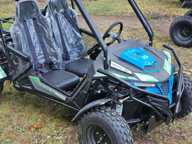 Trailmaster Cheetah 300E Off Road UTV/Go kart 18 HP Fuel Injected, Upgraded rear suspension - Lee Motorsports