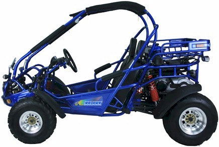 TrailMaster 300 XRX-E Dune Buggy Go Kart, EFI Fuel Injected, Liquid Cooled, Shaft Drive, Alloy Wheels
