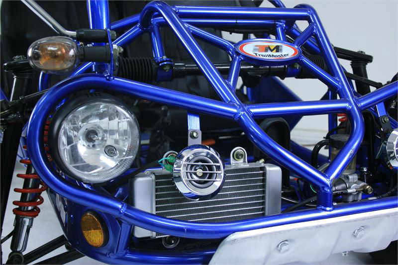 TrailMaster 300 XRX-E Dune Buggy Go Kart, EFI Fuel Injected, Liquid Cooled, Shaft Drive, Alloy Wheels