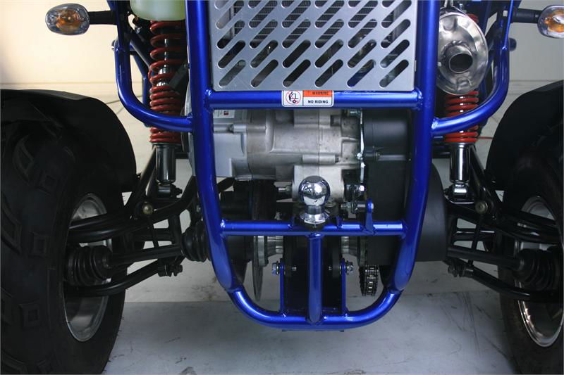 TrailMaster 300 XRX-E Dune Buggy Go Kart, EFI Fuel Injected, Liquid Cooled, Shaft Drive, Alloy Wheels