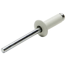 Load image into Gallery viewer, Sm Hd Rivet White 250pk