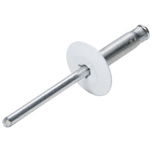 Load image into Gallery viewer, Lg Hd Rivet 250Pk White Flange Type Alum Mandrel