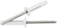 Load image into Gallery viewer, Md Hd Rivet 250Pk Silver Flange Type St Mandrel