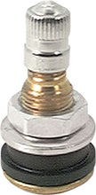 Load image into Gallery viewer, Brass Valve Stem Bolt-In