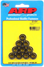 Load image into Gallery viewer, 3/8-16 12pt. Nuts (10)