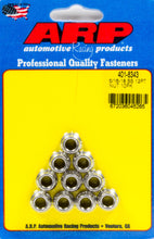Load image into Gallery viewer, S/S 12pt. Nut - 5/16-18 10pk