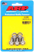 Load image into Gallery viewer, S/S Bolt Kit - 12pt. (5) 5/16-18 x .560