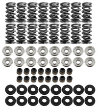 Load image into Gallery viewer, Platinum Dual Spring LS Kit Steel Retainer