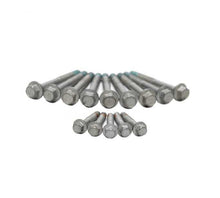 Load image into Gallery viewer, LS Head Bolt Kit - 04-Up (1-Head)