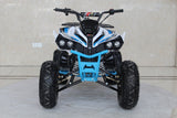 TrailMaster C125 125cc Sport ATV, Automatic with Reverse, 8-inch Wheels, Ages 9-12