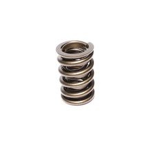 Load image into Gallery viewer, 1.442 Dia. Dual Valve Springs- .71 ID.