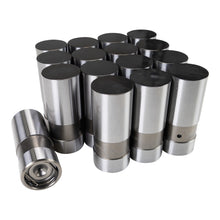 Load image into Gallery viewer, Chevy V8 DLC Hyd Lifter Set - 16pk .842 Dia.