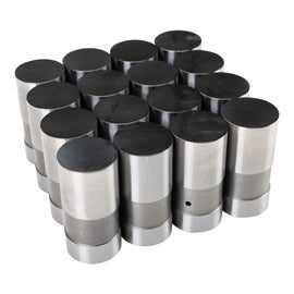 AMC V8 DLC Hyd Lifter Set .904in Dia.