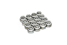 Load image into Gallery viewer, Teflon Valve Seals - 5/16