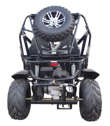 TrailMaster Cheetah 200X Go Kart (Special) CVT Automatic with Reverse, Alloy Wheels, Windshield