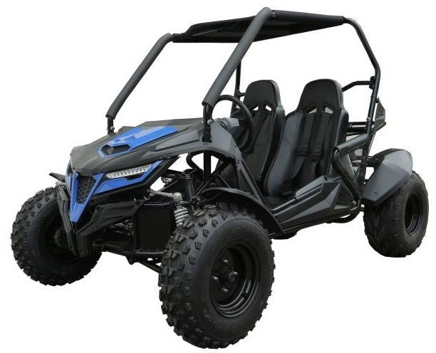TrailMaster Cheetah 200E EFI Buggy Go Kart, CVT Automatic with Reverse