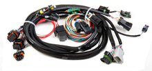 Load image into Gallery viewer, TPI Stealth Ram Main Harness