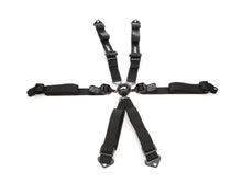 Load image into Gallery viewer, Harness Camlock 2in Indi PD Lap Ind Shldr