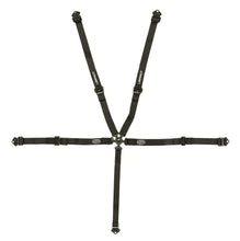 Load image into Gallery viewer, 5-PT QM Harness Camlock Pull Down