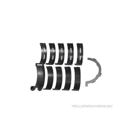 Main Bearing Set  - Ford 5.0L Coyote