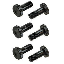 Flexplate Bolt Kit GM LS w/GM Turbo Adapter Plate