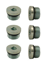Load image into Gallery viewer, 3/4-16 Access Plug with O-Ring