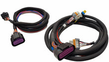 Harness - LS Ignition Control Box