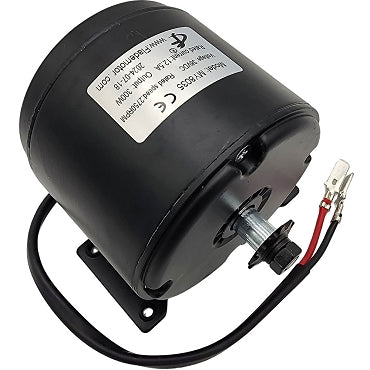 MotoTec 36v 300w (HP122e) Electric Dirt Bike - Motor