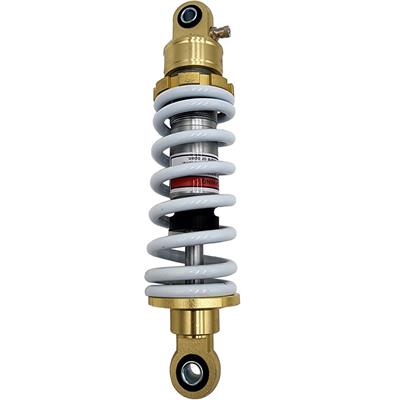 MotoTec Pro 1000w/1800w Rear Shock