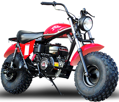 TrailMaster Monster Dog II Mini Bike, 196cc 6.5hp with Torque Converter, Rear Hydraulic Disc Brake