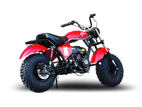 TrailMaster Monster Dog II Mini Bike, 196cc 6.5hp with Torque Converter, Rear Hydraulic Disc Brake