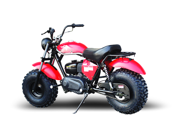 TrailMaster Monster Dog II Mini Bike, 196cc 6.5hp with Torque Converter, Rear Hydraulic Disc Brake