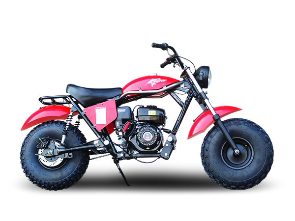 TrailMaster Monster Dog II Mini Bike, 196cc 6.5hp with Torque Converter, Rear Hydraulic Disc Brake