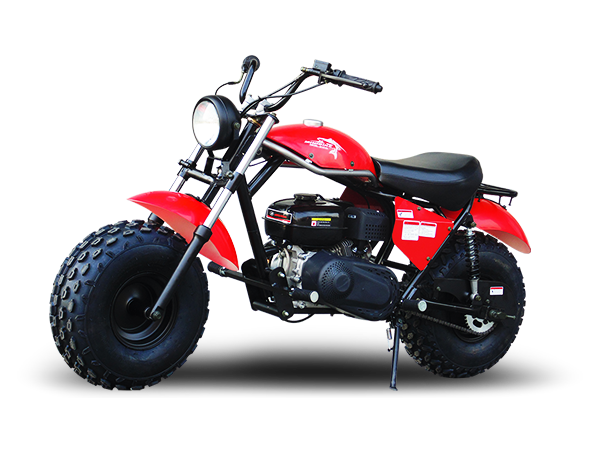 TrailMaster Monster Dog II Mini Bike, 196cc 6.5hp with Torque Converter, Rear Hydraulic Disc Brake