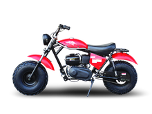 TrailMaster Monster Dog II Mini Bike, 196cc 6.5hp with Torque Converter, Rear Hydraulic Disc Brake