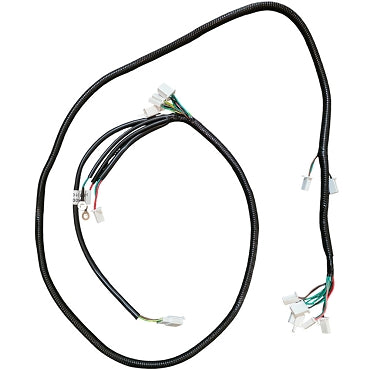 MotoTec Mud Monster XL 2000w - Wire Harness