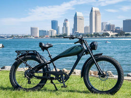 RideStar 750 E-Bike - Lee Motorsports