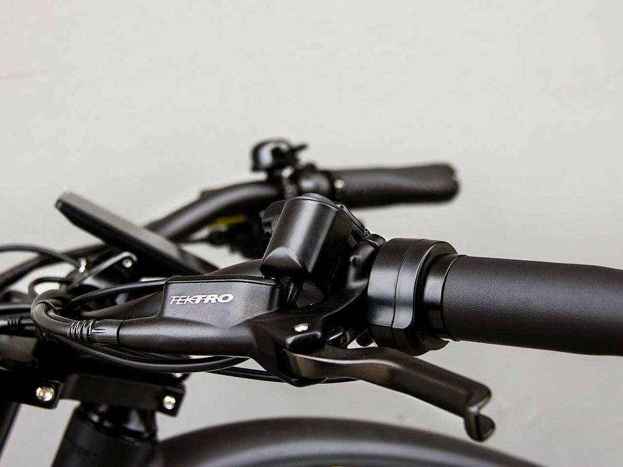 RideStar 750 E-Bike - Lee Motorsports