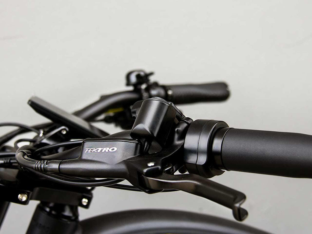 RideStar 750 E-Bike - Lee Motorsports