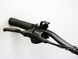 RideStar 750 E-Bike - Lee Motorsports