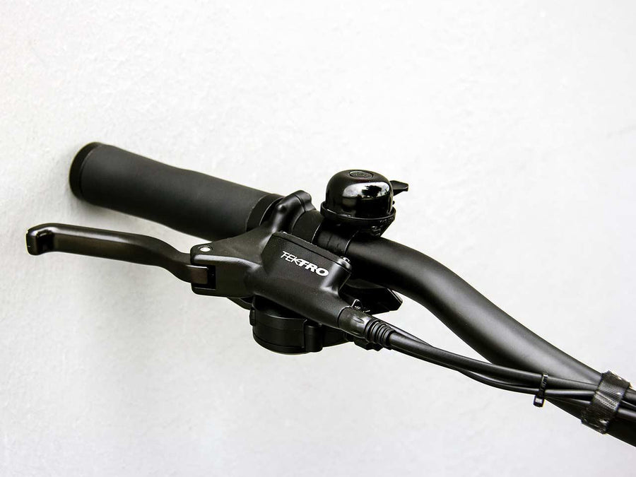 RideStar 750 E-Bike - Lee Motorsports