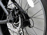 RideStar 750 E-Bike - Lee Motorsports
