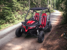 Load image into Gallery viewer, Trailmaster Cheetah 200 Go kart  ,Upgraded rear end, high back seats, Full Welded Roll Cage - Lee Motorsports