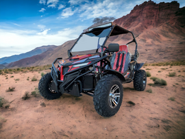 Trailmaster Cheetah 300EX Off Road UTV/Go kart | Fuel Injected Deluxe Adult Version, Center pivot rear end, water cooled motor - Lee Motorsports