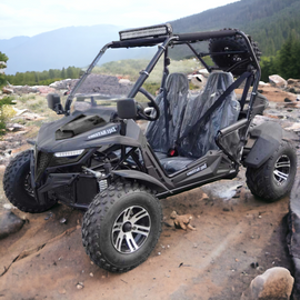 Trailmaster Cheetah 200EX Off Road UTV / Go Kart / side-by-side Wind Shield, Light bar, Spare Tire, Upgraded Center Pivot rear end, Fuel Injected - Lee Motorsports